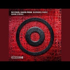 Burning Paris Amine K Moroko Loko