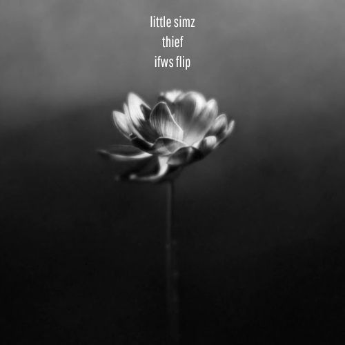 Little Simz - Thief (IFWS Flip)