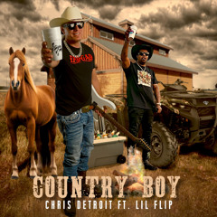 Country Boy (feat. Lil' Flip)