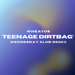 Wheatus - Teenage Dirtbag (Wednesday Club Remix)