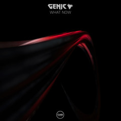 Genic - What Now - DISGENVIP004 - OUT NOW