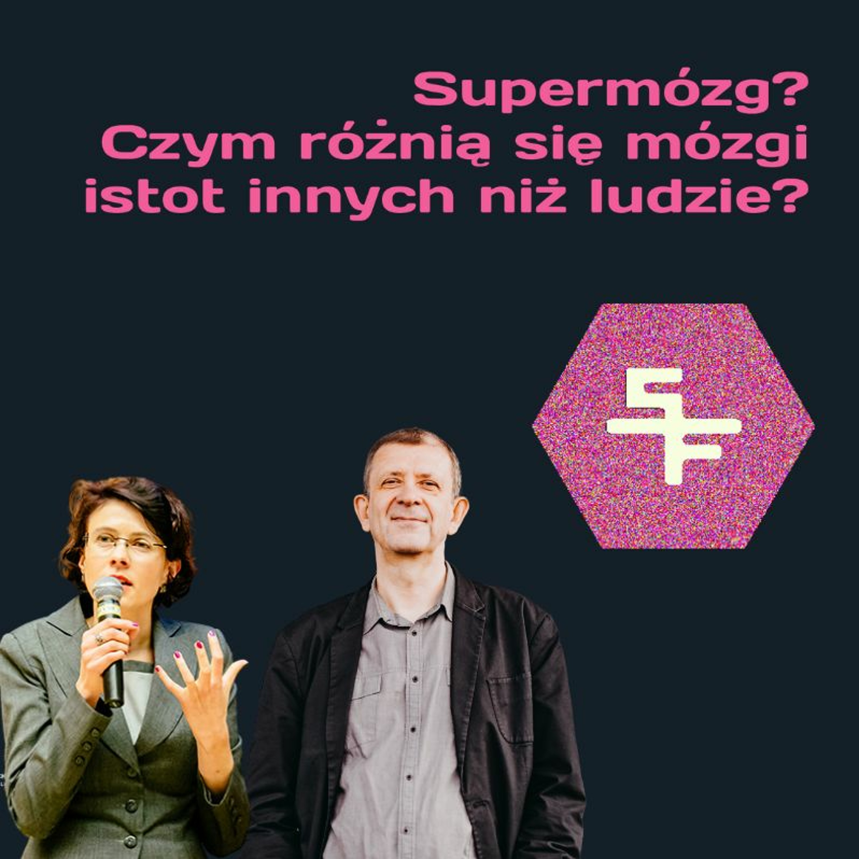 ToMasz w Krakowie