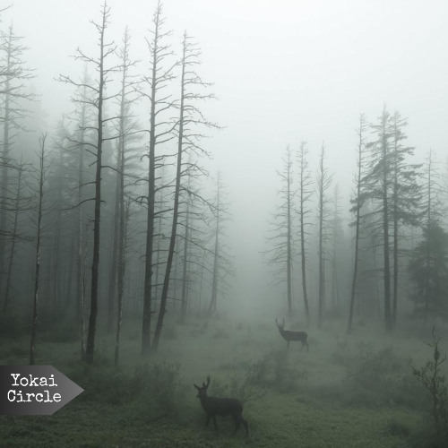 JYRANTE, Ambient Yokai - Winds Are Changing