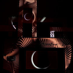 [SHADOW STUDIES VOL. 2] [extended vinyl version]