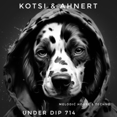 Kotsi & Ahnert UNDER DIP Ep. 714 Melodic House & Techno (123bpm)