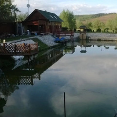 Steven Prk - Live Organic Set @ Tópart Vendégház 2024-10-05