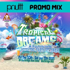 Tropical Dreams Promo Mix