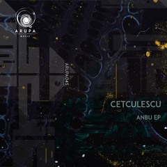 Cetculescu - Should have Sinned