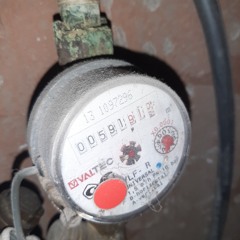 bas ligtenberg - only terror godverdomme!!