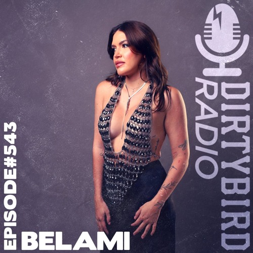 Dirtybird Radio 543 - belami