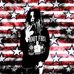 lifestyle p lint bfo & ohtee