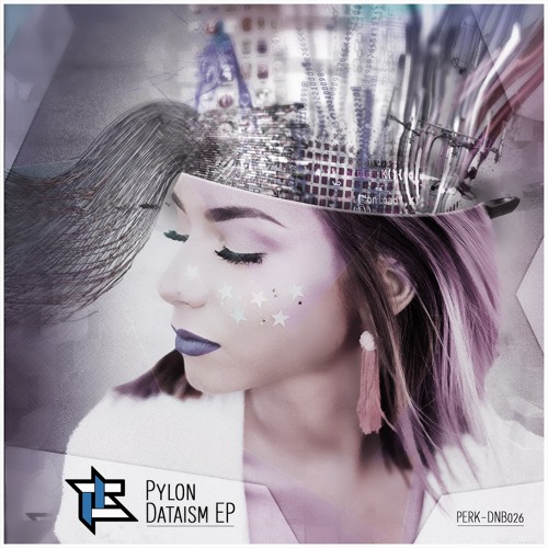 [PERK-DNB026]C Pylon + Stonerice - Into Your Mind (Section 63 Remix)
