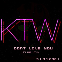 I Dont Love You