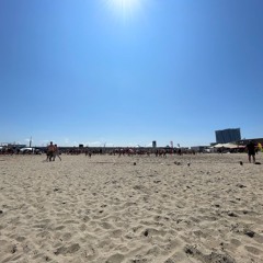 LIVESET SCREMS 1.0 Bounce