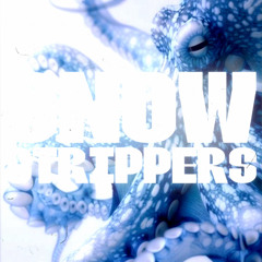 Tragic Suprise (slowed) - Snow Strippers