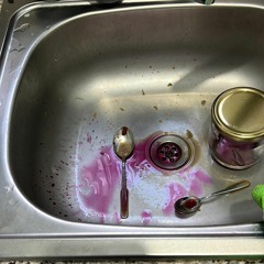 morphic field resonance