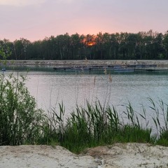 ✧ *:･ﾟ • Spring