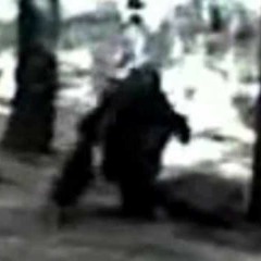 nani e puttane feat-nox