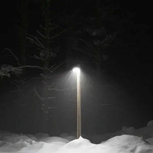 Posion Tree - Grouper x I'm A NonPerson ( slowed )