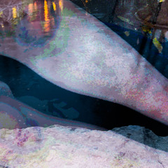 bruises ft. valentinesday