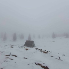 Howling wind in mountain cabin