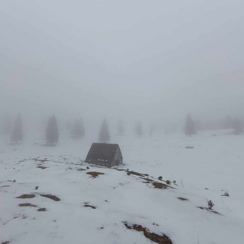 Howling wind in mountain cabin