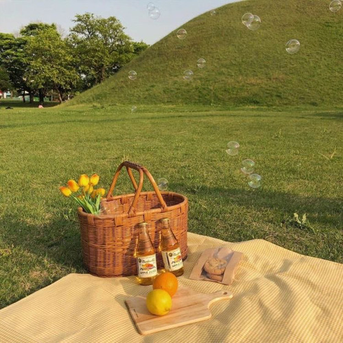 브론테 우리만의 놀이
