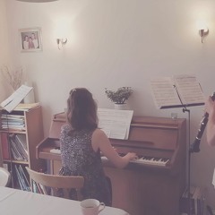 Trio For The Hills - piano, flute, clarinet