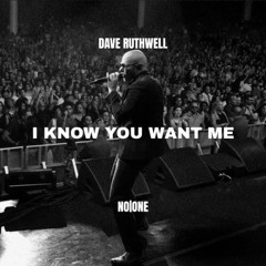 Pitbull - I Know You Want Me (Dave Ruthwell x NO ONE Remix)