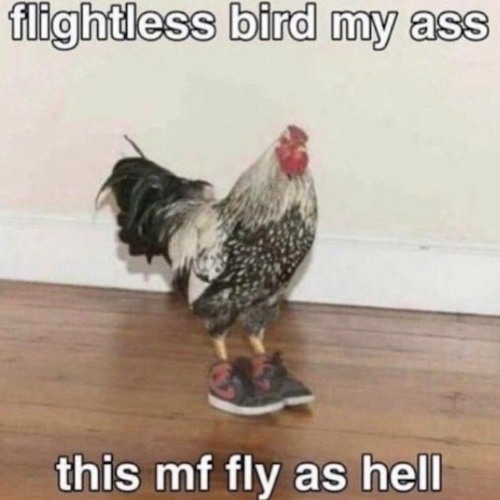 ATHOTH A GO!! GO!! (middle part loop)