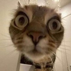 um set p vc ouvir fazendo qualquer coisa