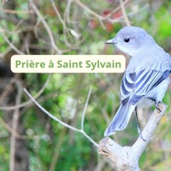 Prière À Saint Sylvain