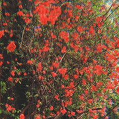 cheapredy. - Last Call (prod. matt beats)