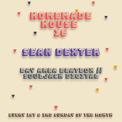 Homemade House 16 - Sean Dexter