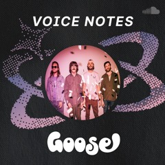 Copy of Voice Notes: Goose