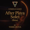 After Party Playa Solei ( Ibiza) DJ mix artwork - Electronic music tracklist cover image