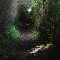 La dernière