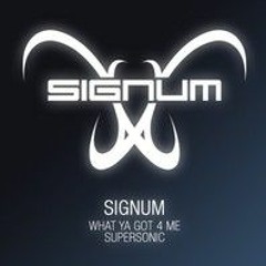 Signum - What You Got For Me (Lively Racket Bootleg)