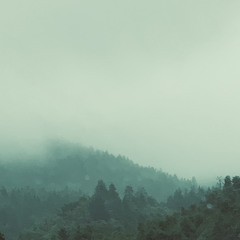 this body isn’t mine.