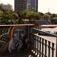 The Spirit of the Plants