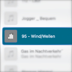 95 - Wind/Wellen (2020)