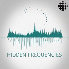 Hidden Frequencies: How the invisible powers of sound shape our lives and world