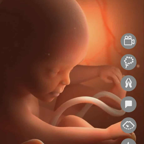 Dj.DamianR - Week nineteen