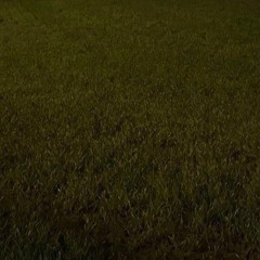 almost human fiction