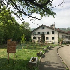 La Cantine Reste - documentaire de création sonore - 24min18