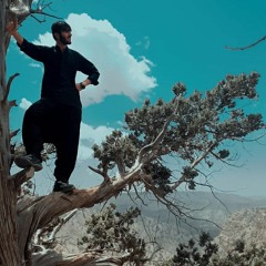 Arabic remix Ya Lili Ya Lila