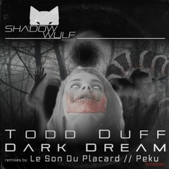 Todd Duff - Dark Dream (Le Son Du Placard Remix)