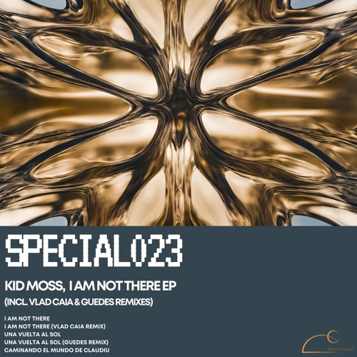 Kid Moss - I'm Not There (Vlad Caia Remix) [PNHSPEC023] [PREMIERE]