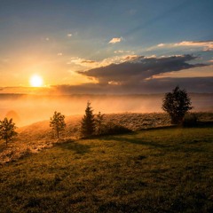 the Velvet Horizon