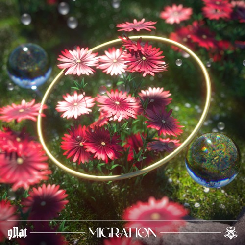 gNat - Migration